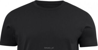 T-shirt AMERICAN U kolor czarny HARVEST - 2