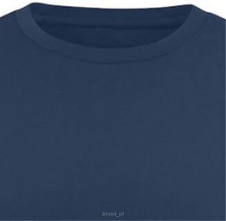 T-shirt AMERICAN U kolor wyblakły niebieski HARVEST - 2